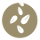 Sésamo